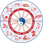 12 Zodiac Signs and the Twelve Animals- illustration -3
