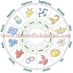 12 Zodiac Signs and the Twelve Animals- illustration -1