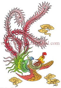 Chinese Phoenix – Auspicious Bird Rising from Ashes- illustration -2
