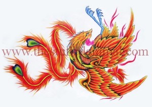 Chinese Phoenix – Auspicious Bird Rising from Ashes- illustration -