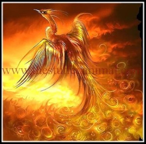 Chinese Phoenix – Auspicious Bird Rising from Ashes- illustration -1