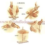 Sui Drilling Wood to Make a Fire- illustration -2