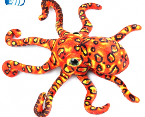 Leopard Octopus- thumbnail