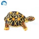 Radiation turtle plush toy for kids- thumbnail