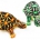 Radiation turtle plush toy for kids- illustration -2