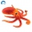 Red Octopus – Aquarium souvenirs Boy toys- illustration -1